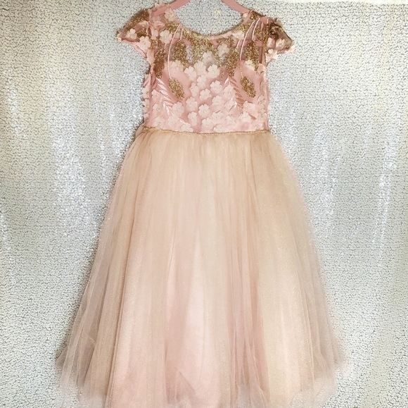 chantilly place floral embroidered dress